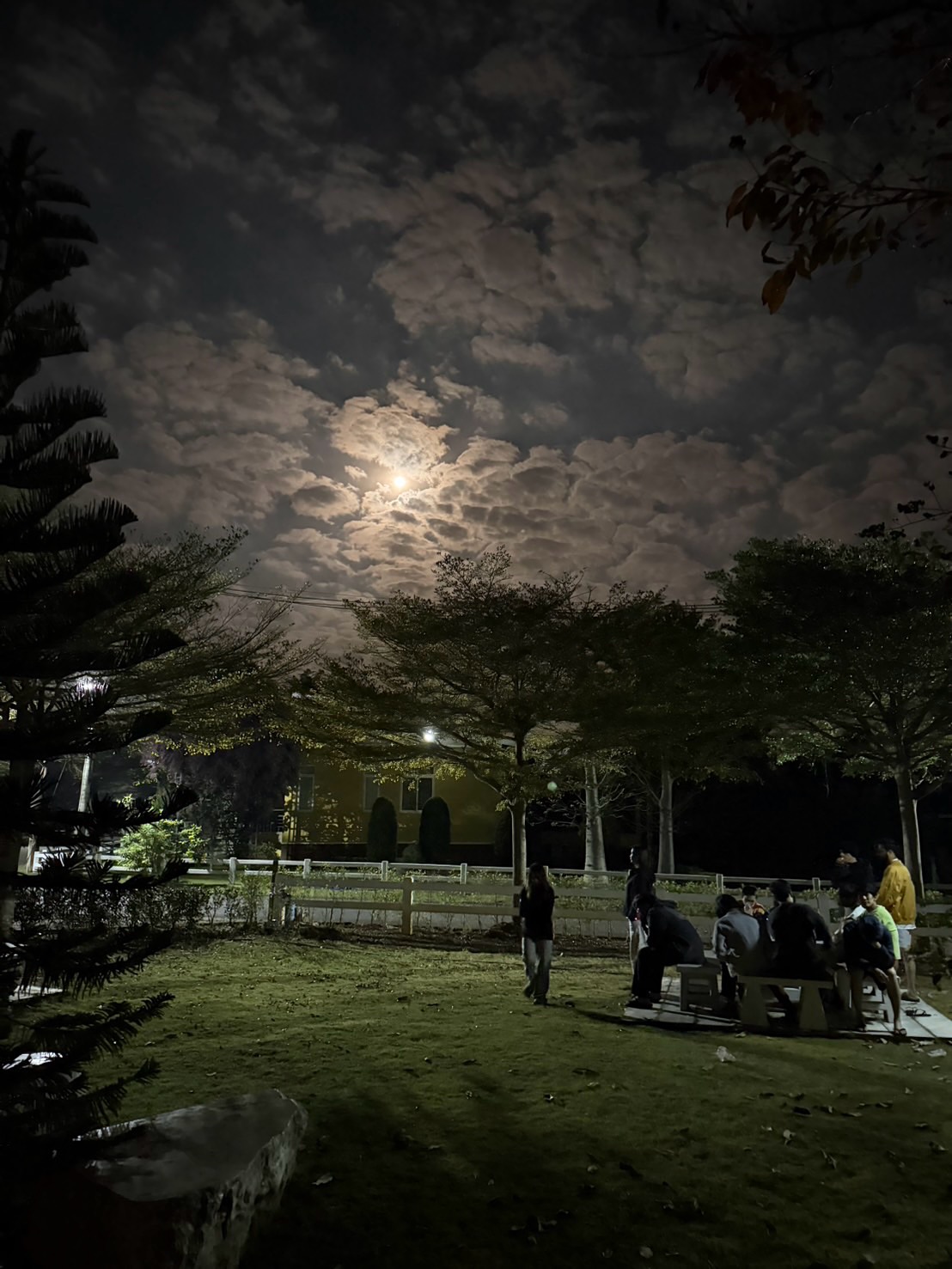 ไอด้า - ไอรดา ศิริวุฒิ