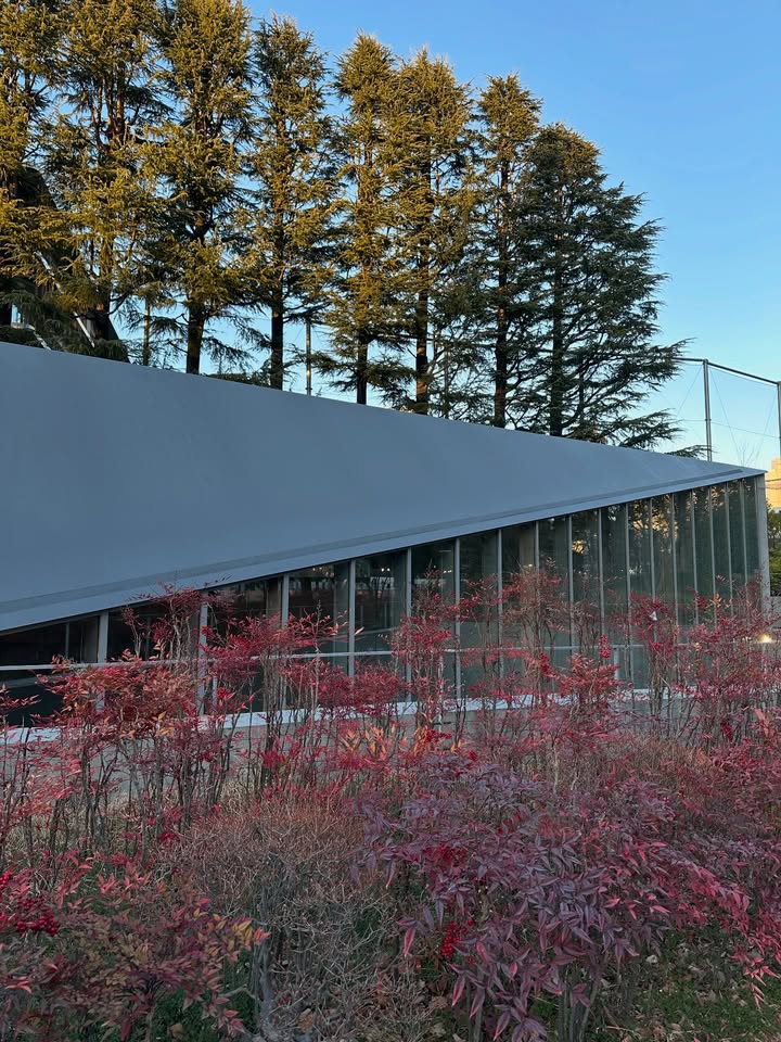 ไอด้า - ไอรดา ศิริวุฒิ