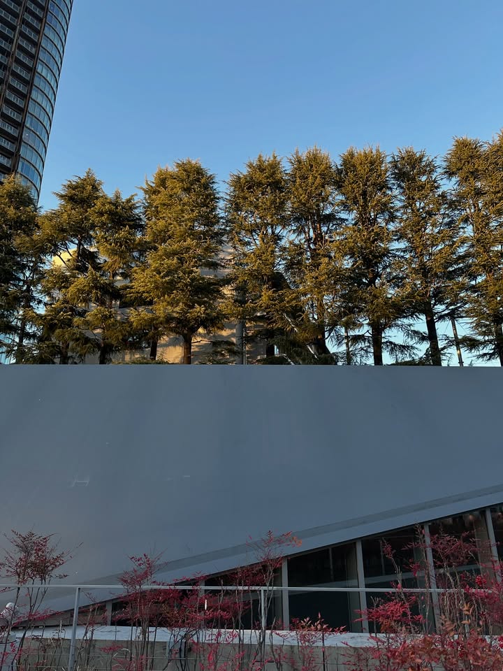 ไอด้า - ไอรดา ศิริวุฒิ