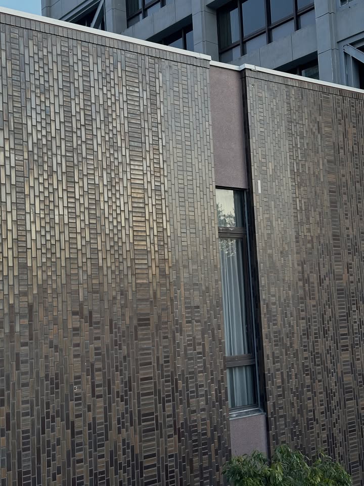 ไอด้า - ไอรดา ศิริวุฒิ