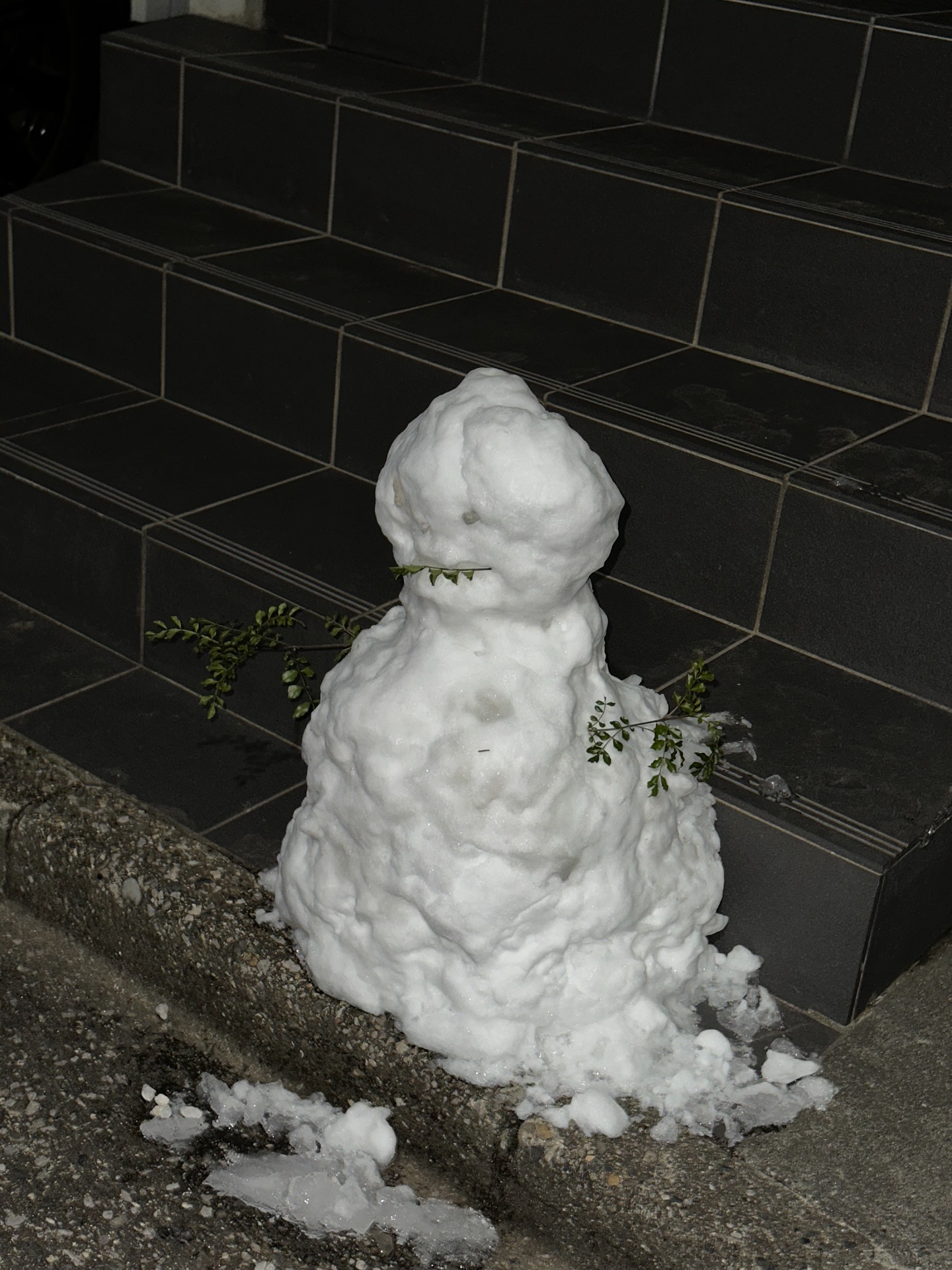 ไอด้า - ไอรดา ศิริวุฒิ