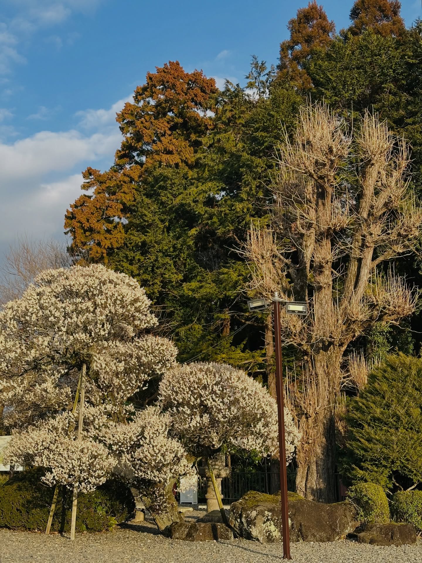 ไอด้า - ไอรดา ศิริวุฒิ