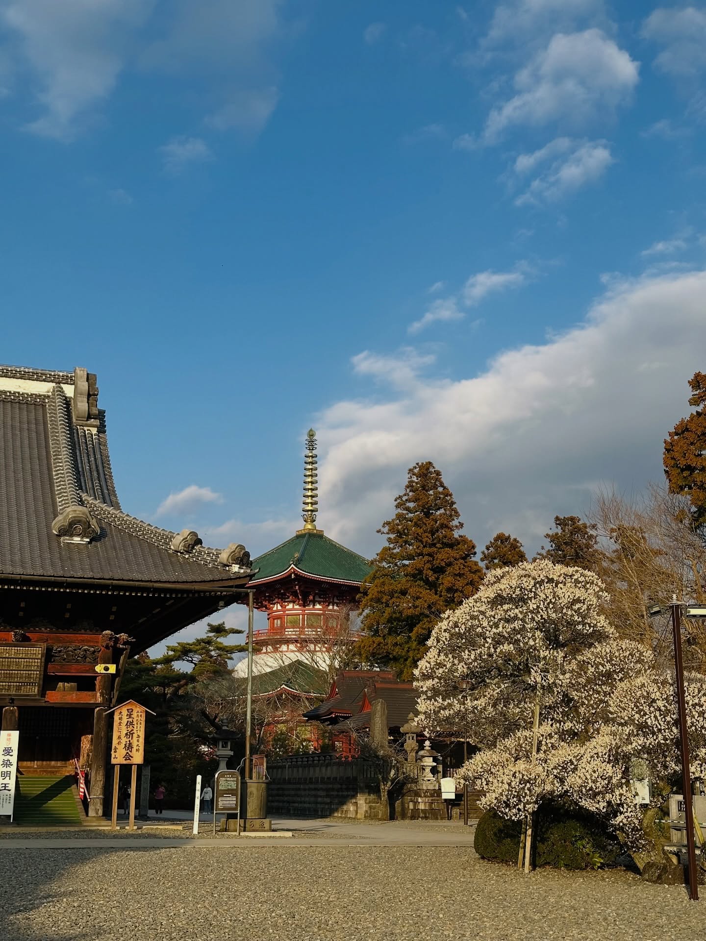 ไอด้า - ไอรดา ศิริวุฒิ