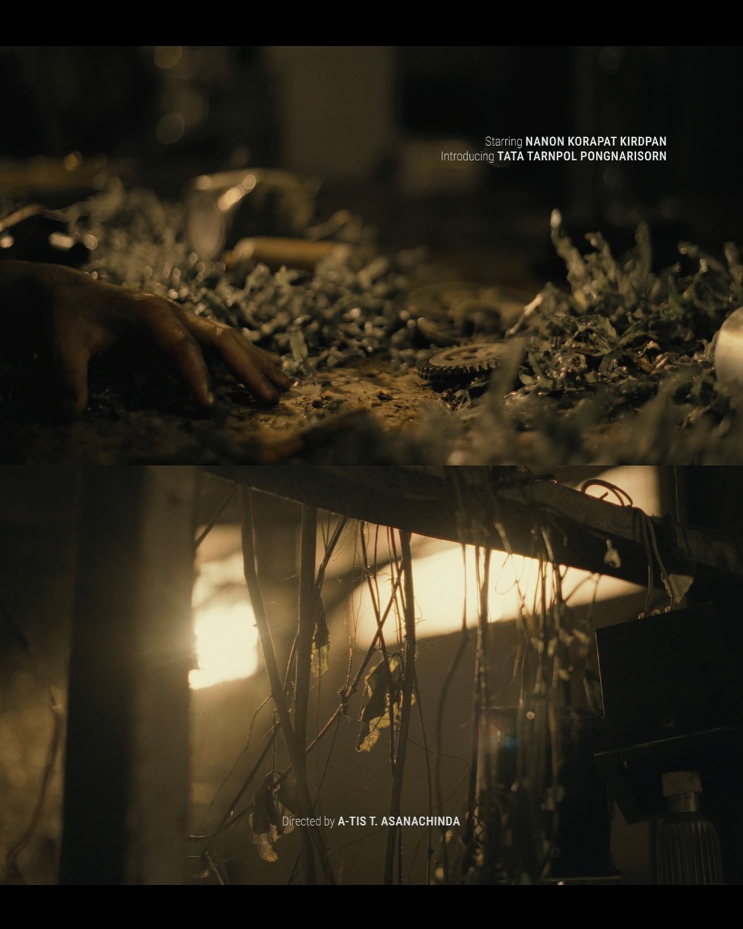 นนน - กรภัทร์ เกิดพันธุ์