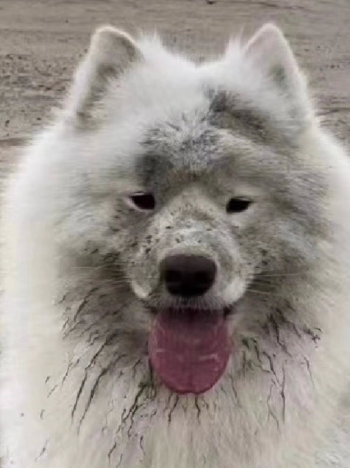 นนน - กรภัทร์ เกิดพันธุ์