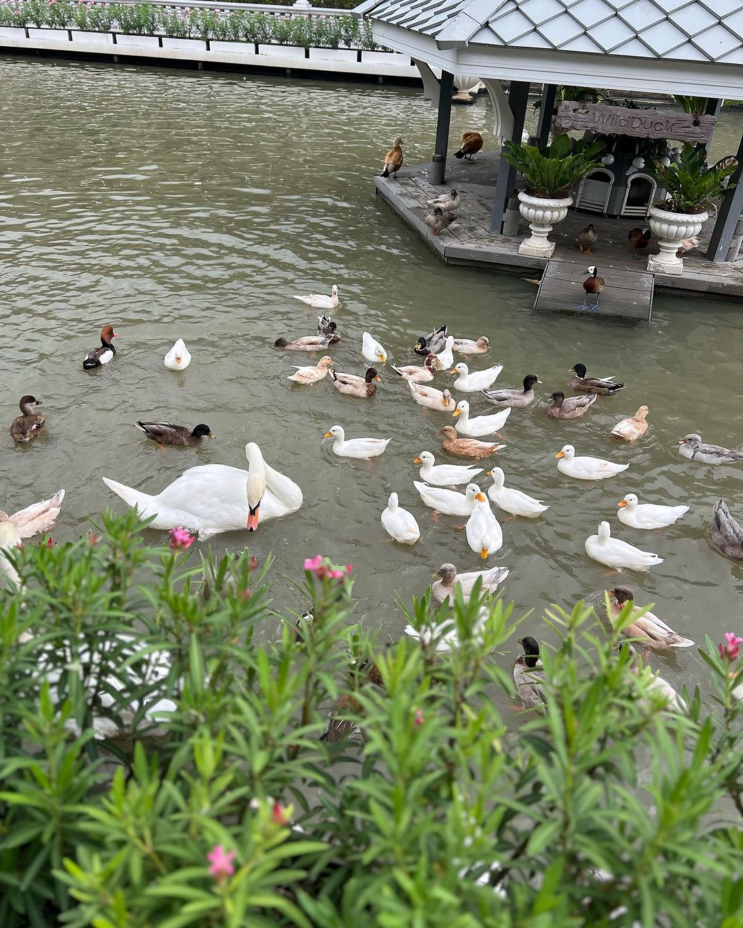 ปอ - อรรณพ ทองบริสุทธิ์
