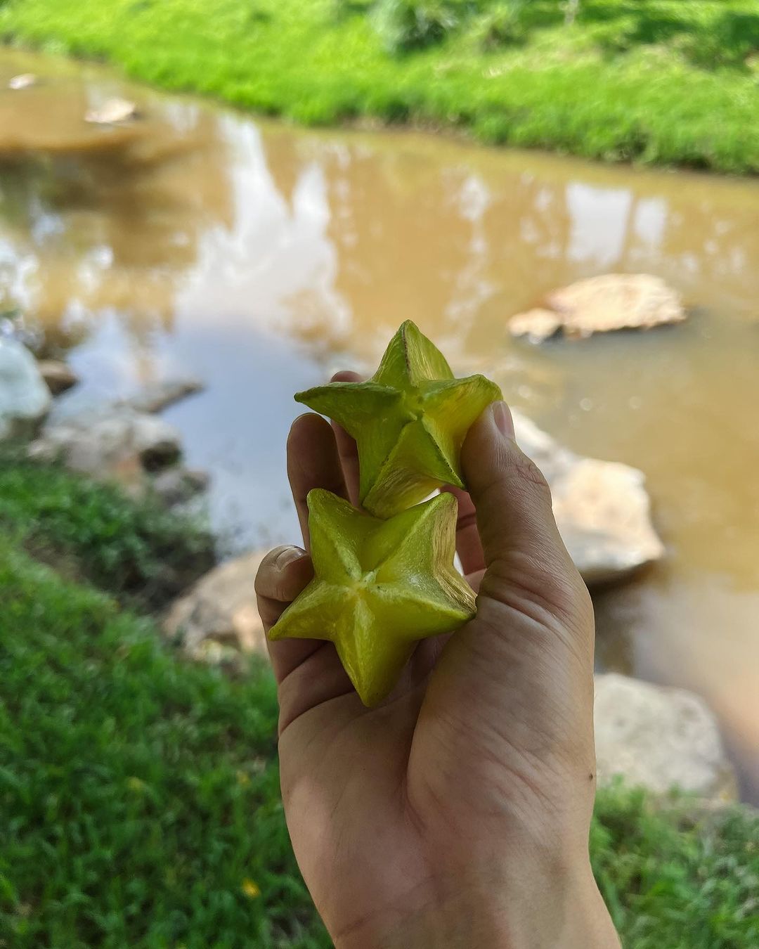 ปอ - อรรณพ ทองบริสุทธิ์