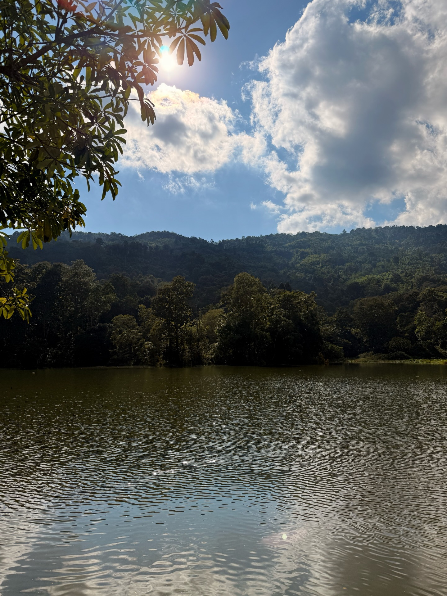 ปอ - อรรณพ ทองบริสุทธิ์