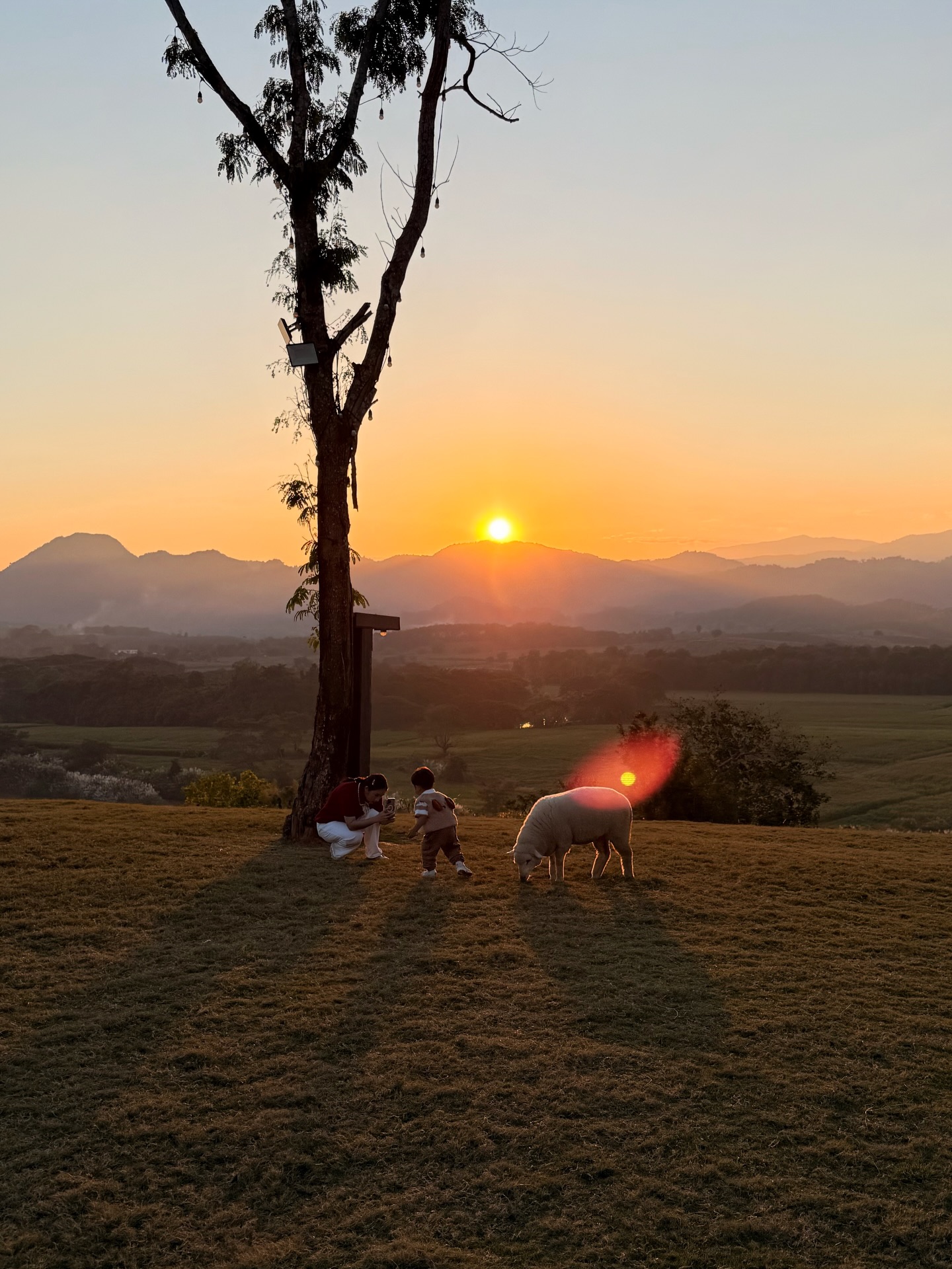 ปอ - อรรณพ ทองบริสุทธิ์