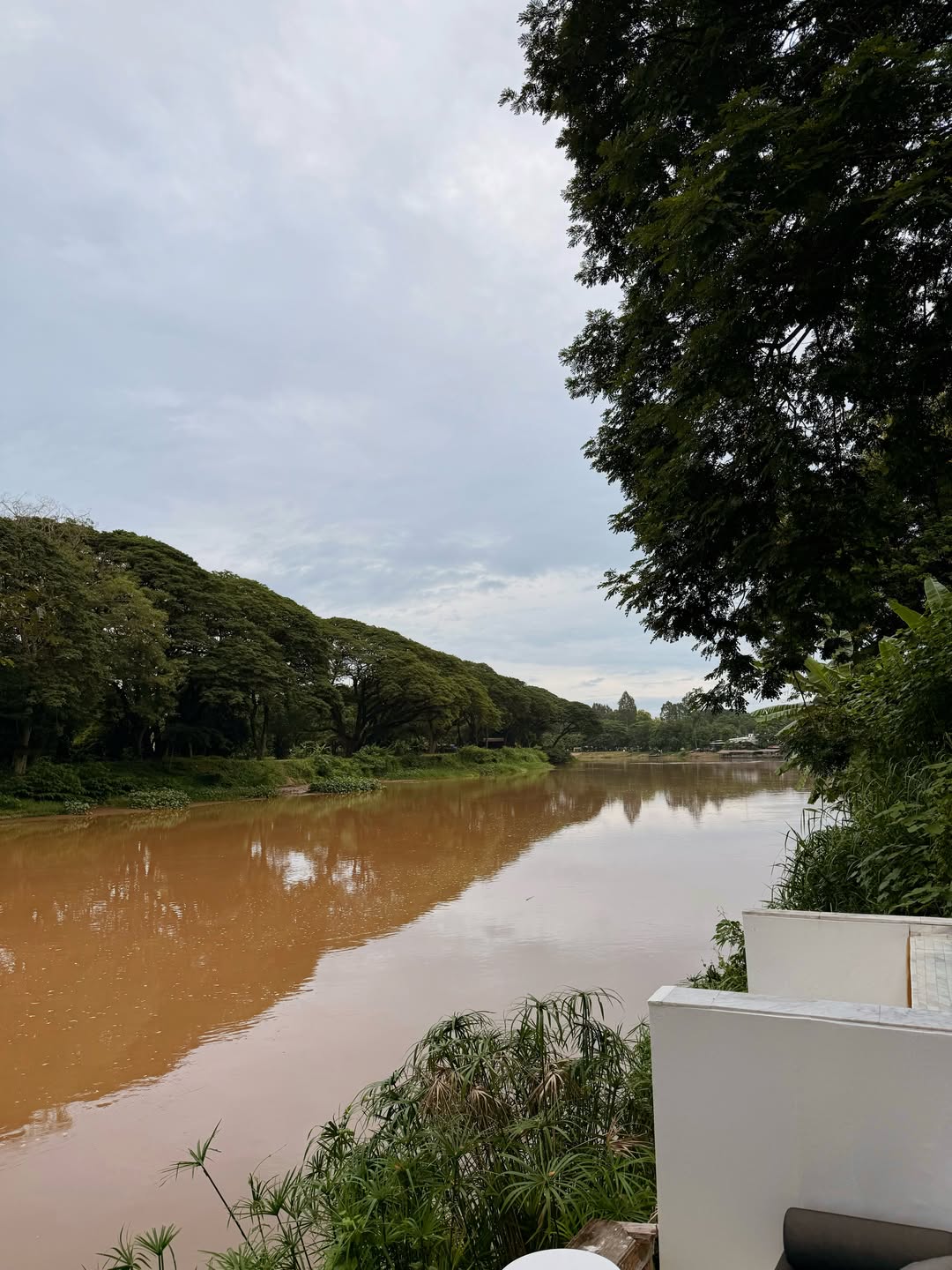 ปอ - อรรณพ ทองบริสุทธิ์