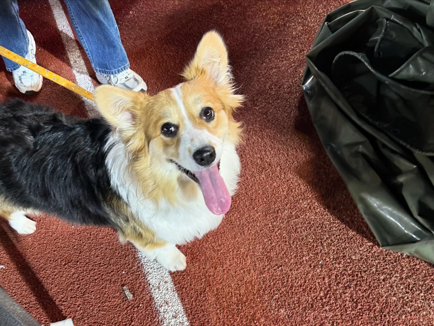 อุ้ม - อิษยา ฮอสุวรรณ