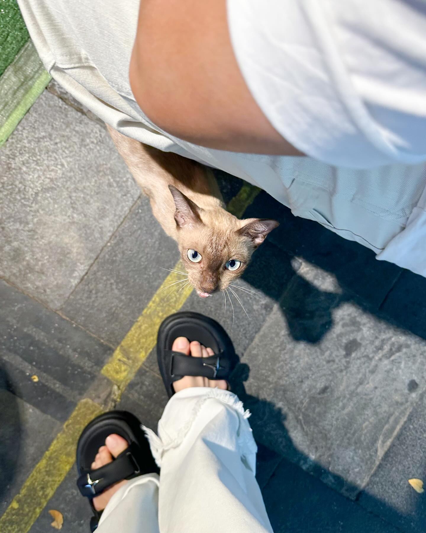 อุ้ม - อิษยา ฮอสุวรรณ