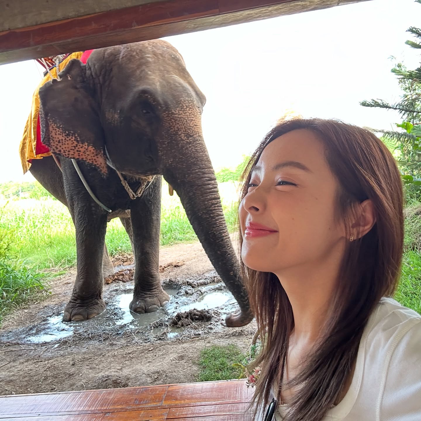 อุ้ม - อิษยา ฮอสุวรรณ