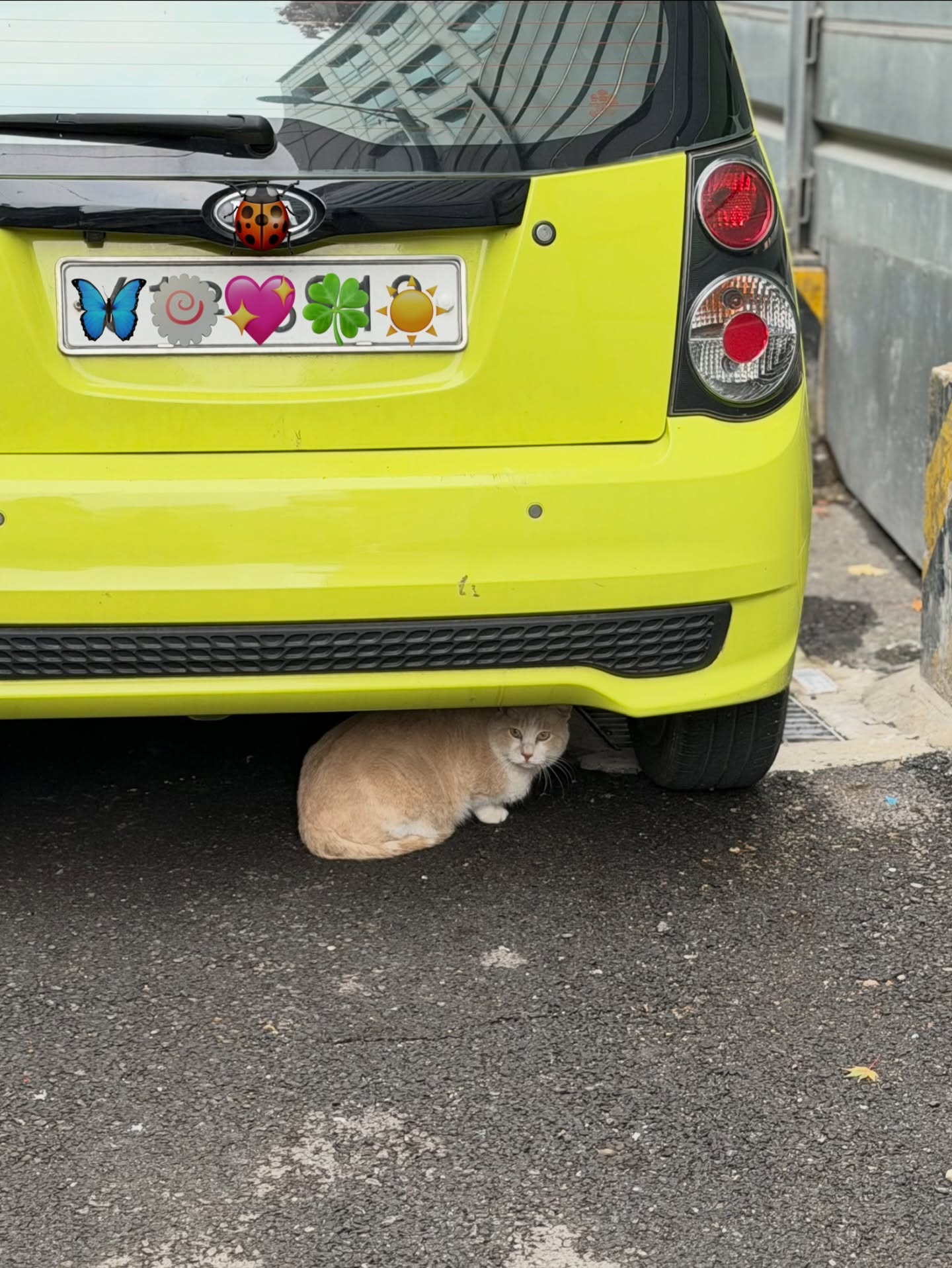 อุ้ม - อิษยา ฮอสุวรรณ