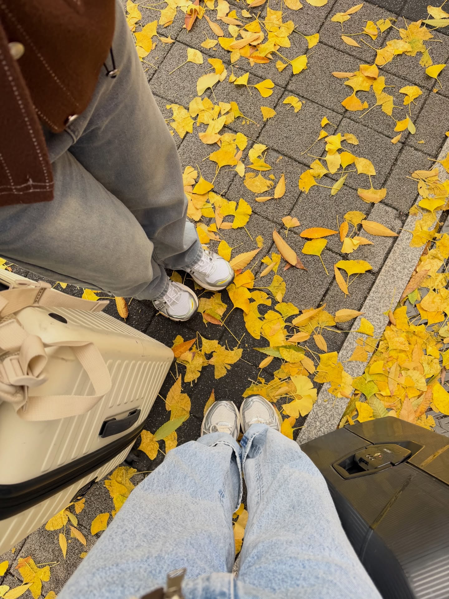 อุ้ม - อิษยา ฮอสุวรรณ