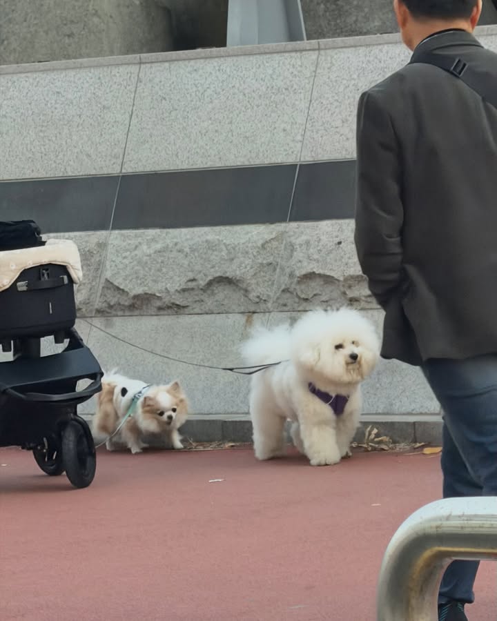 อุ้ม - อิษยา ฮอสุวรรณ