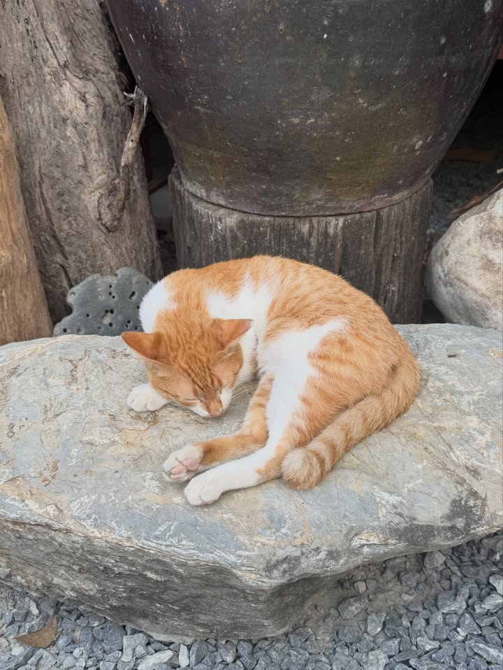 อุ้ม - อิษยา ฮอสุวรรณ