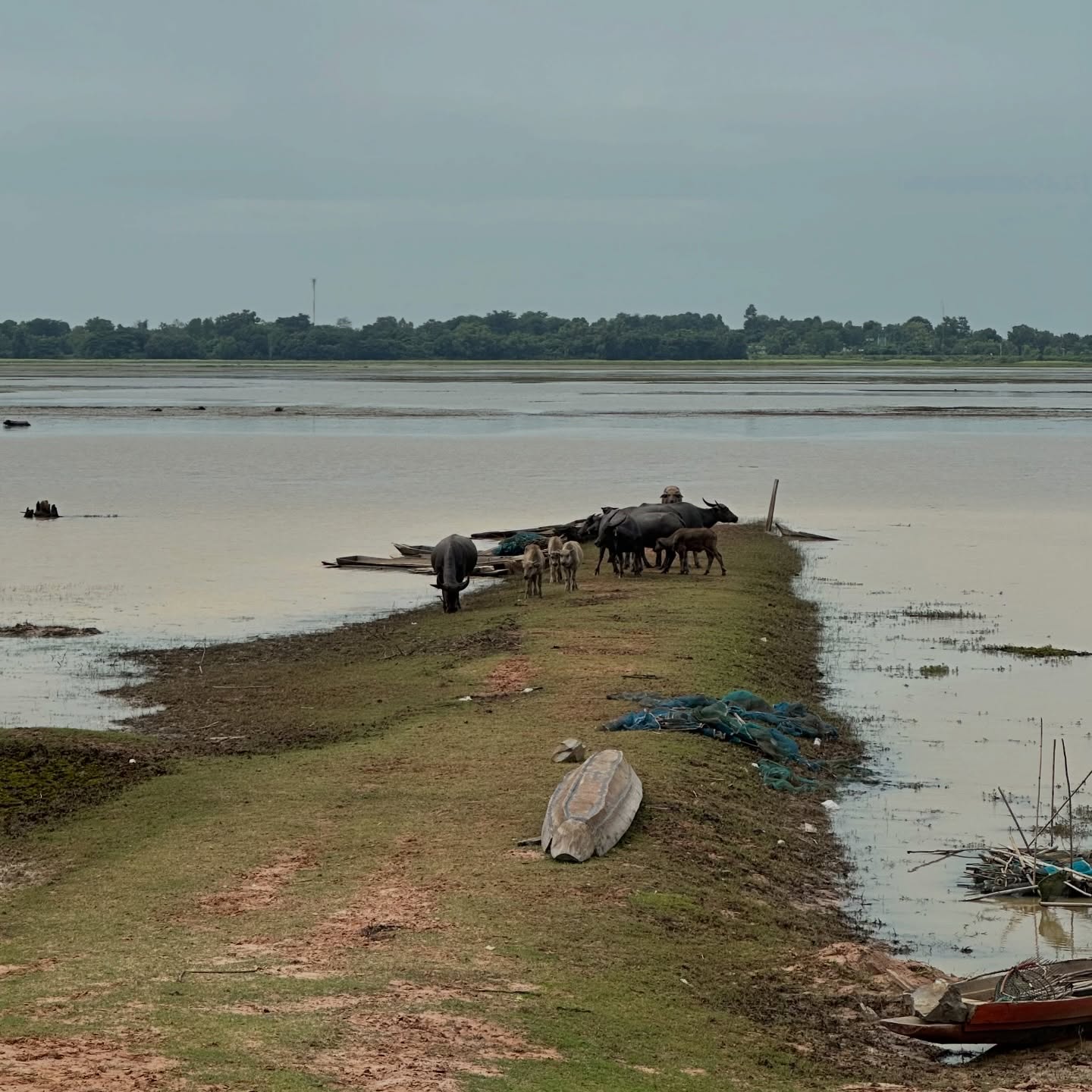 อุ้ม - อิษยา ฮอสุวรรณ