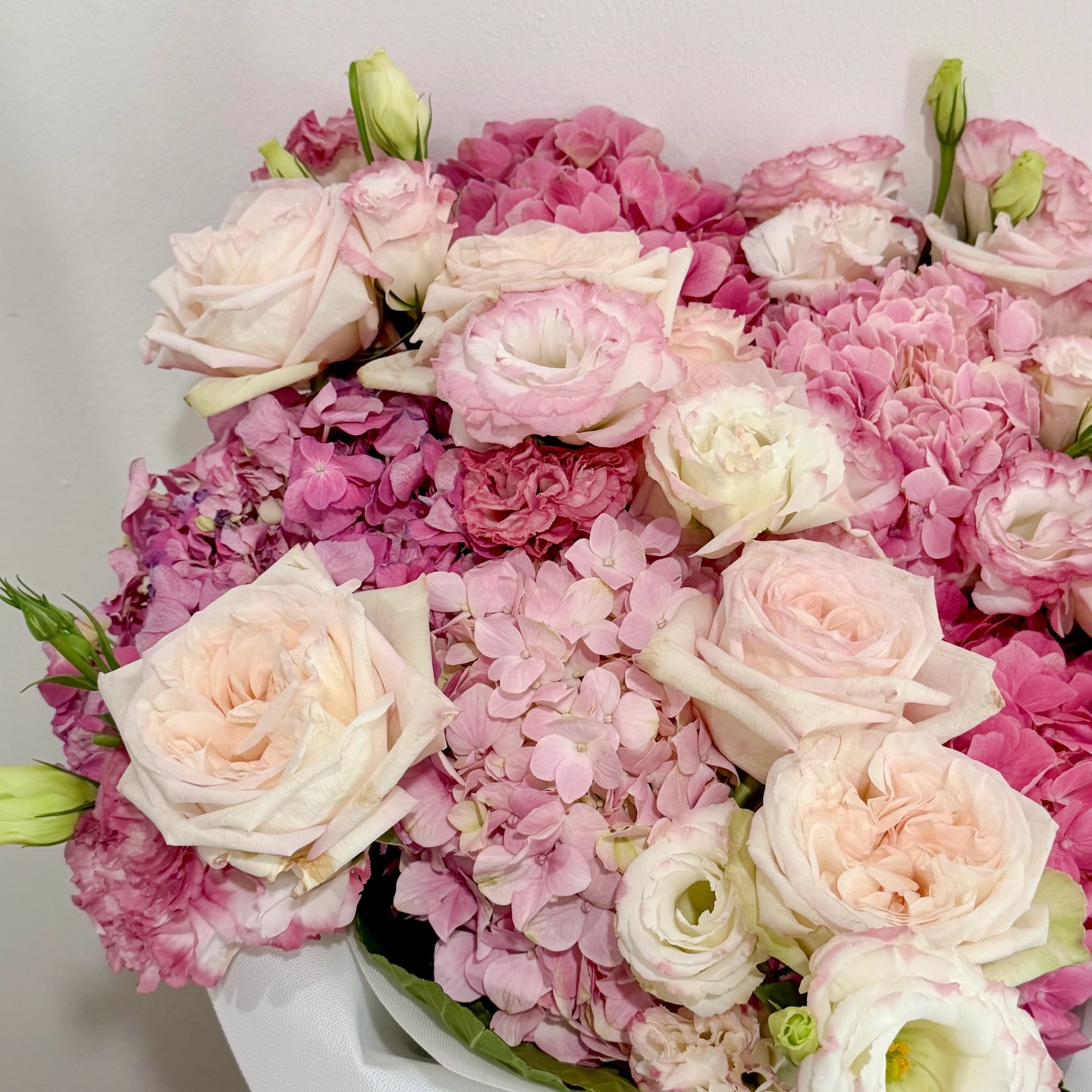 อุ้ม - อิษยา ฮอสุวรรณ