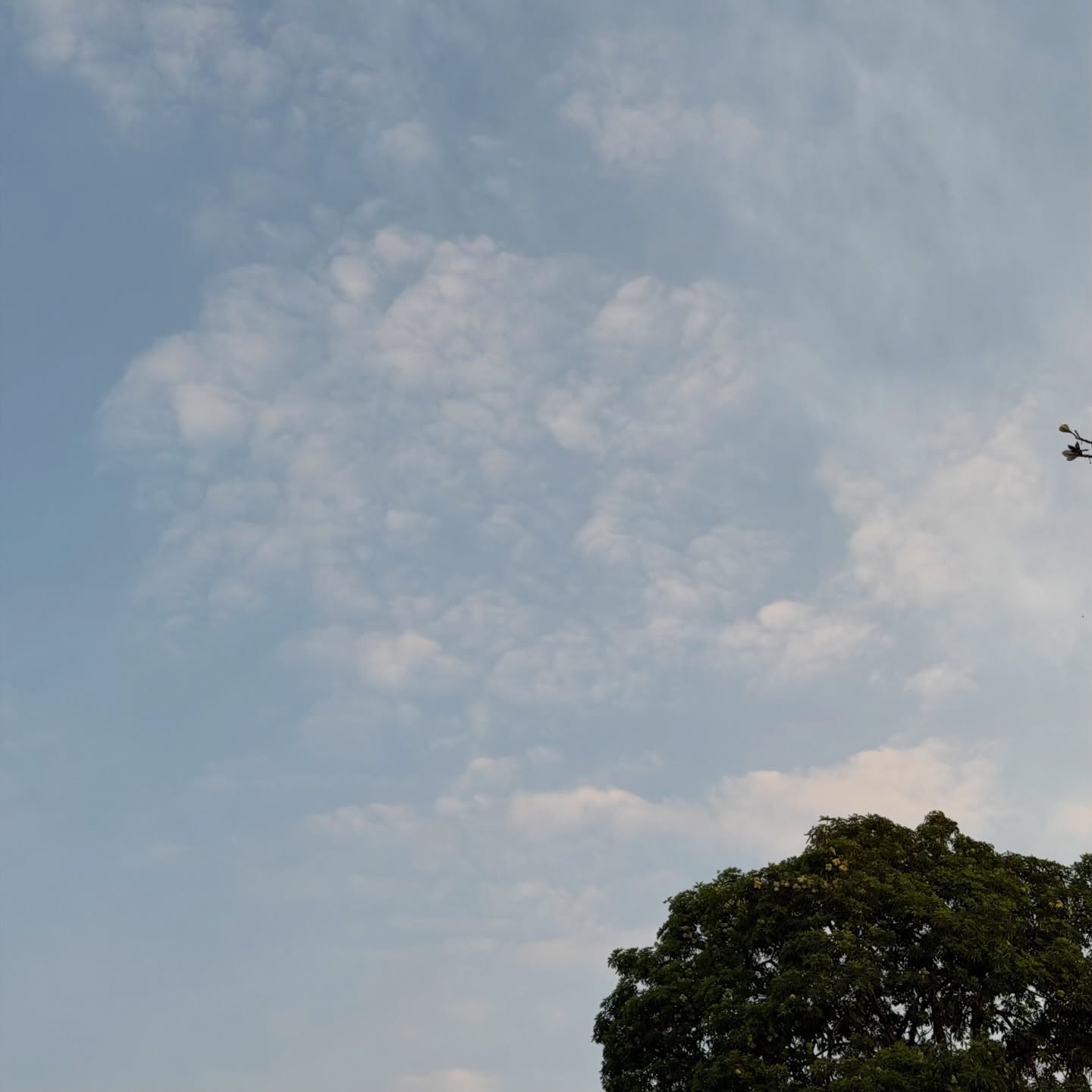 อุ้ม - อิษยา ฮอสุวรรณ