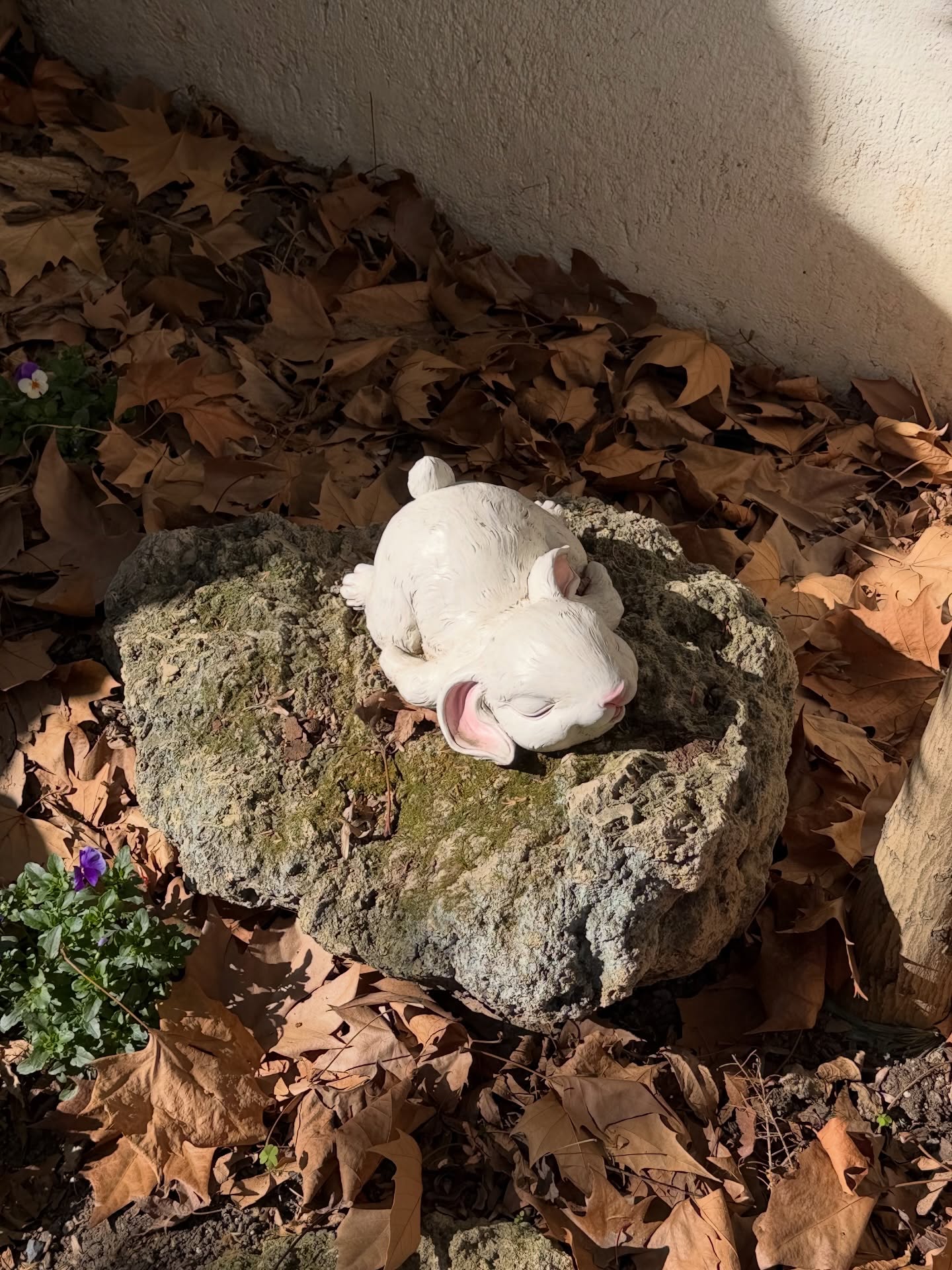 อุ้ม - อิษยา ฮอสุวรรณ