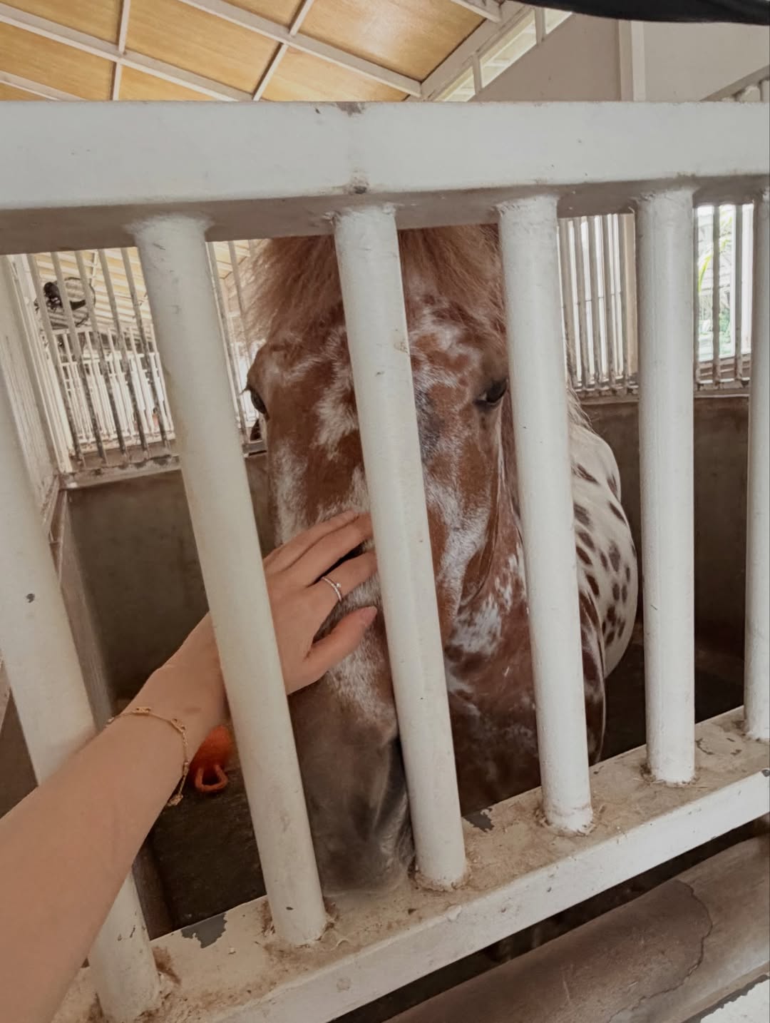 อุ้ม - อิษยา ฮอสุวรรณ