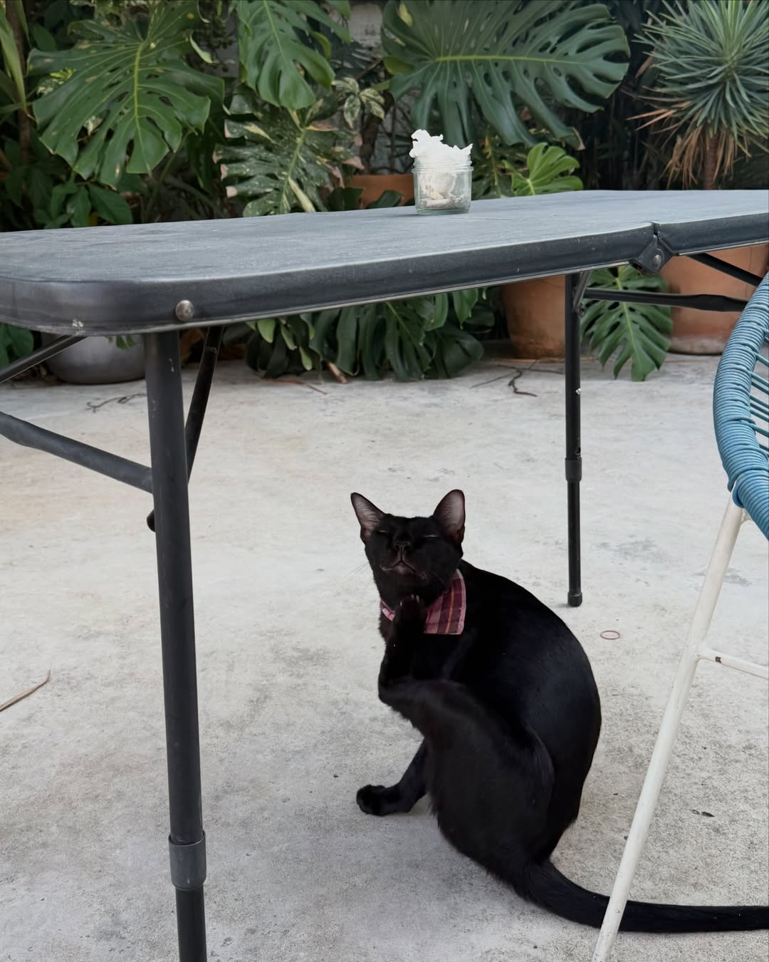 อุ้ม - อิษยา ฮอสุวรรณ