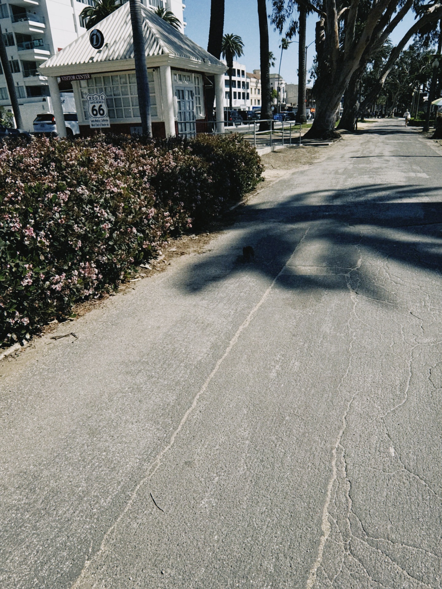 ป๊อก - ภัสสรกรณ์ จิราธิวัฒน์