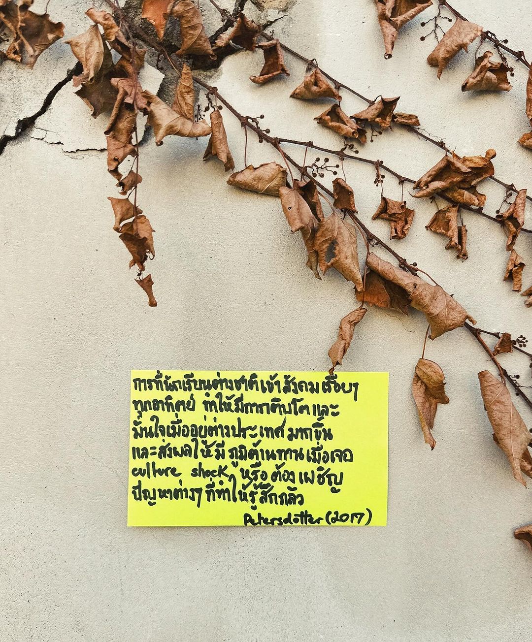 เขื่อน - ภัทรดนัย เสตสุวรรณ