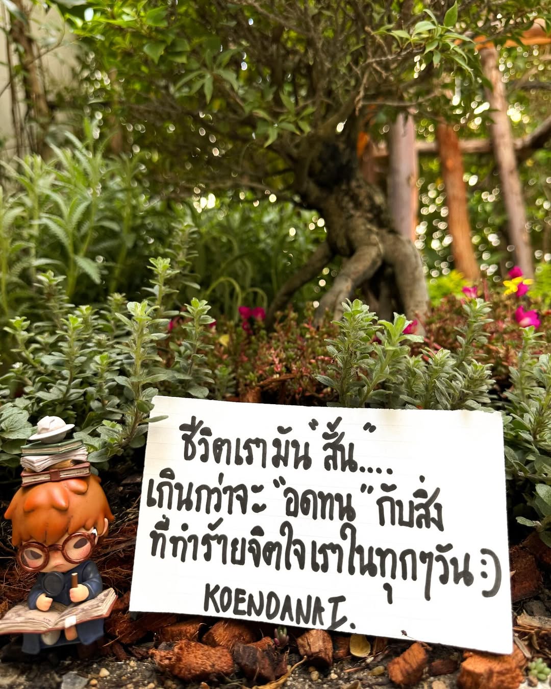 เขื่อน - ภัทรดนัย เสตสุวรรณ