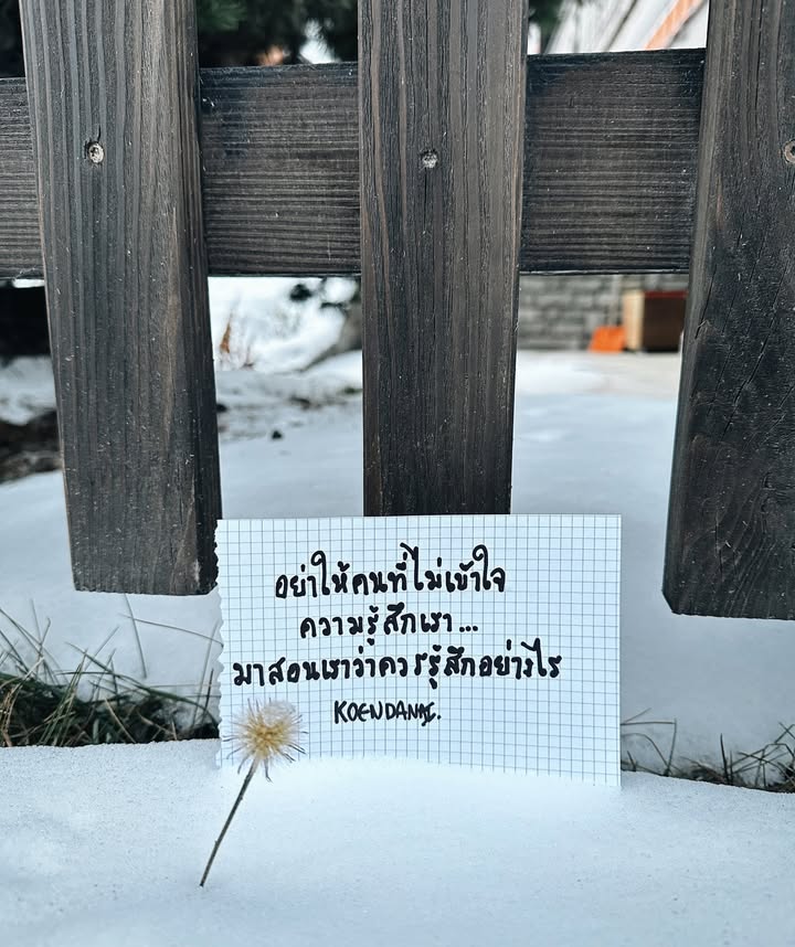 เขื่อน - ภัทรดนัย เสตสุวรรณ