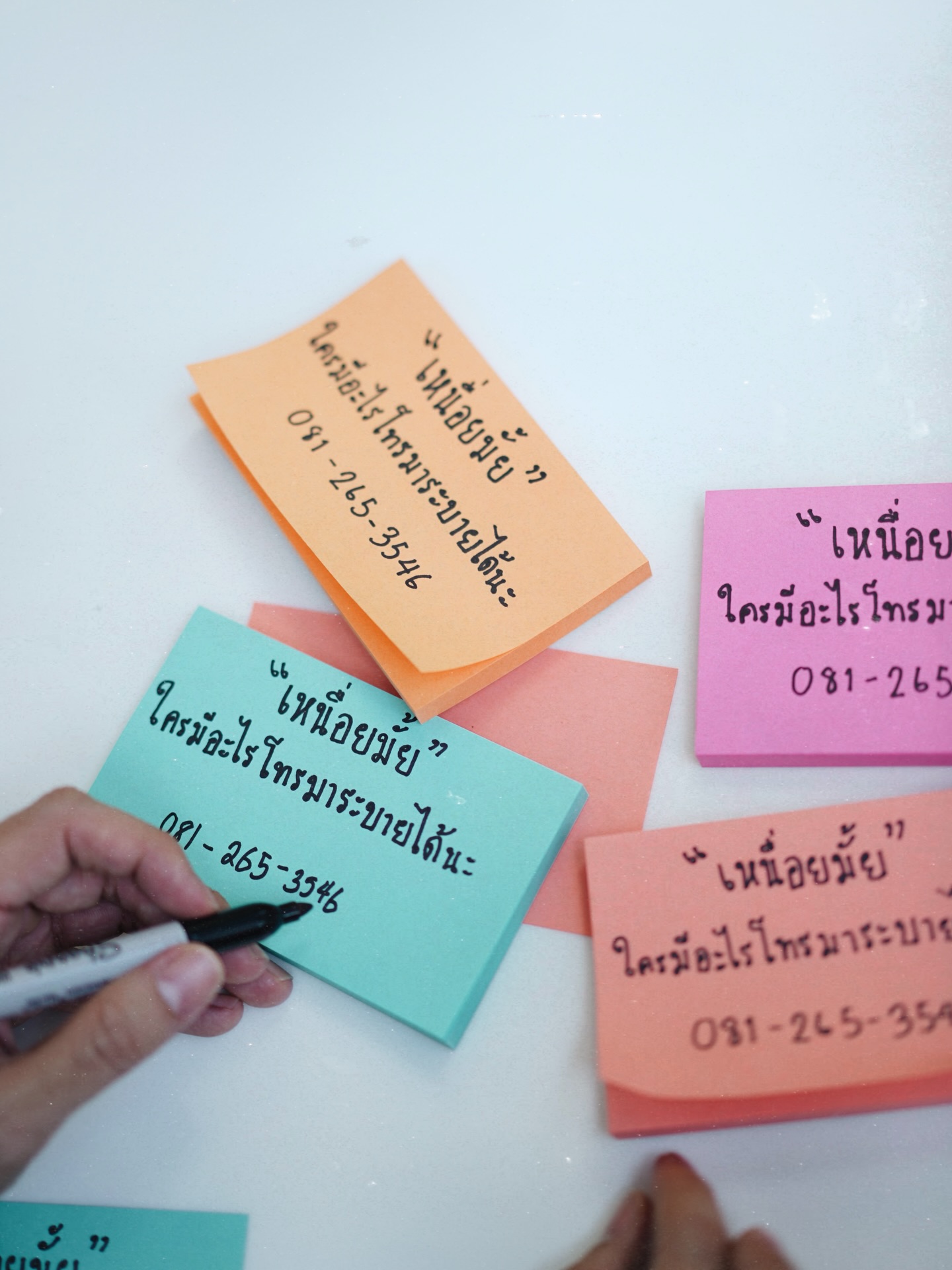 เขื่อน - ภัทรดนัย เสตสุวรรณ