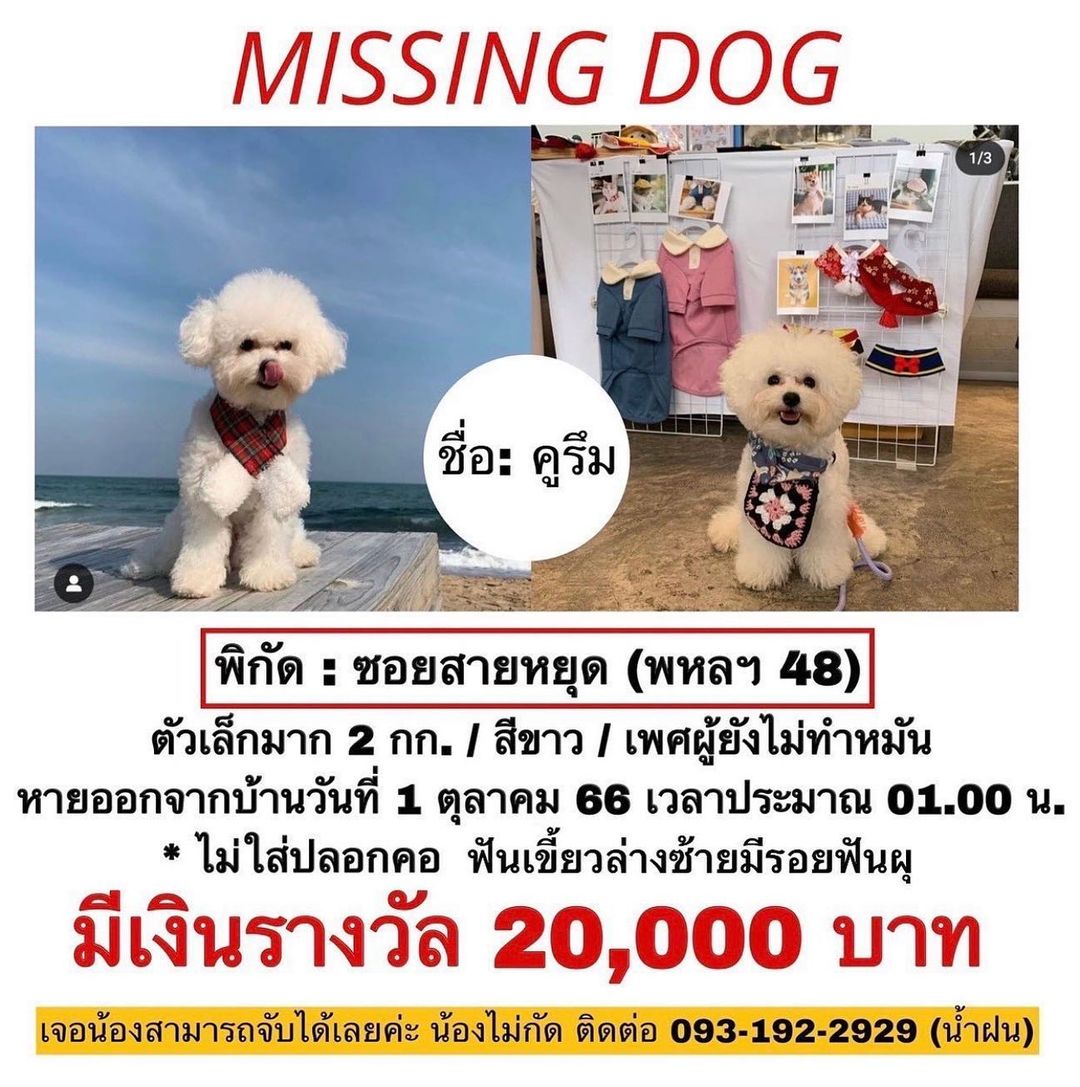 ซอจียอน