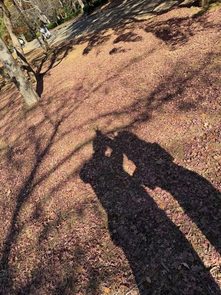 ซอจียอน