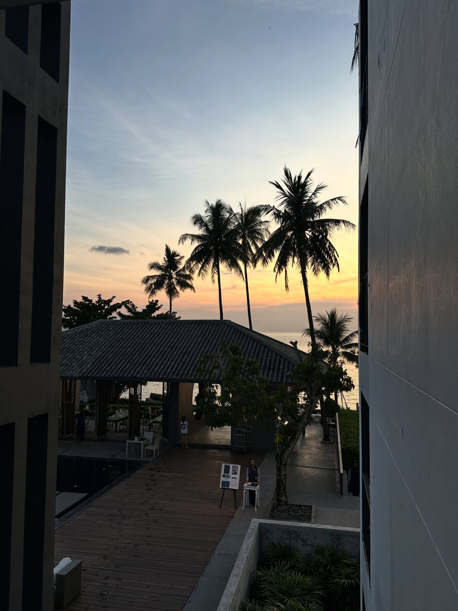 เซิร์ฟ - พชร ศิลปสุนทร