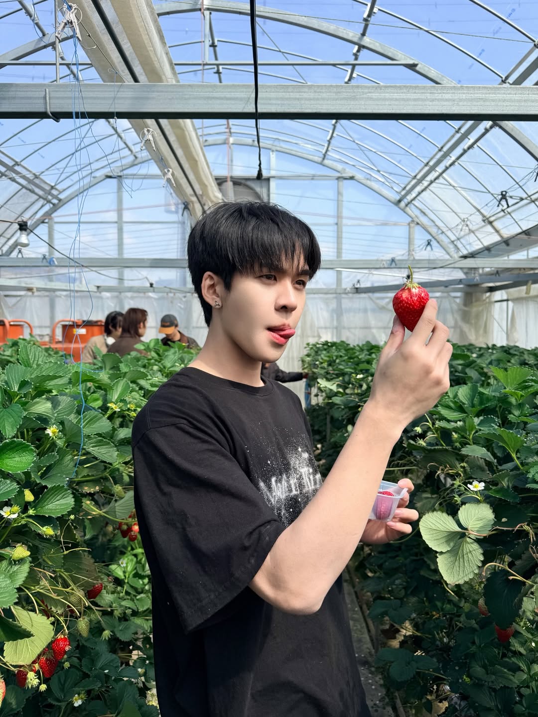 เซฟ - วรพงษ์ วาเลาะ