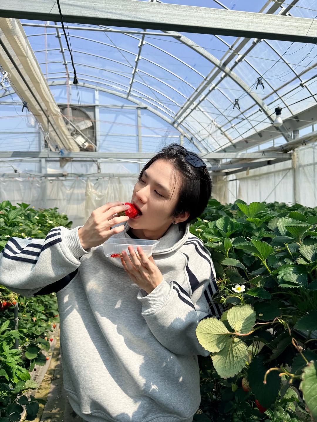 เซฟ - วรพงษ์ วาเลาะ