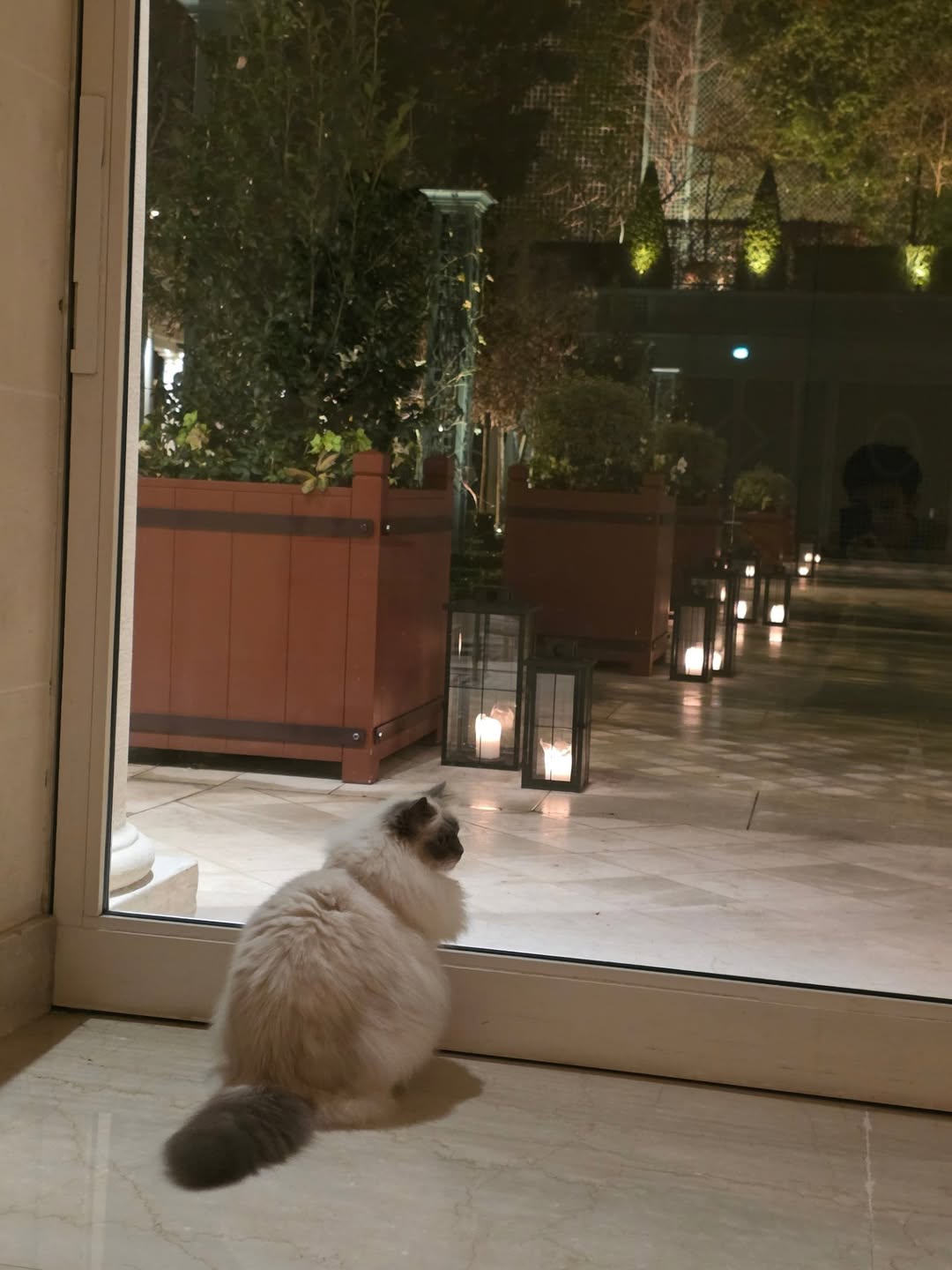 โฟร์ท - ณัฐวรรธน์ จิโรชน์ธิกุล