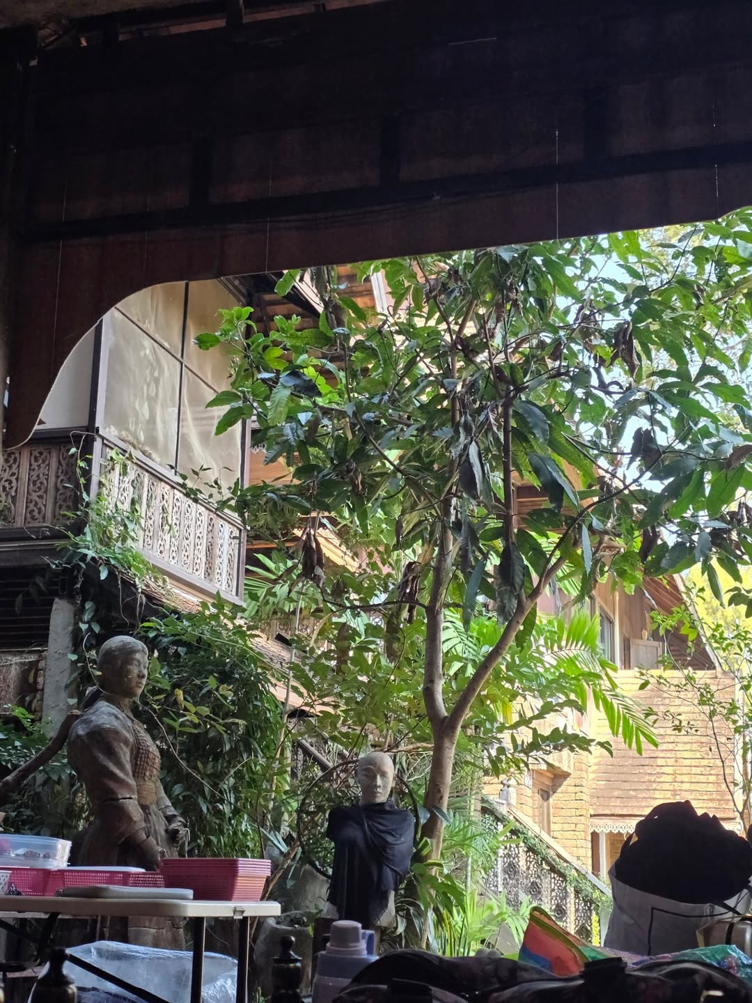 โฟร์ท - ณัฐวรรธน์ จิโรชน์ธิกุล