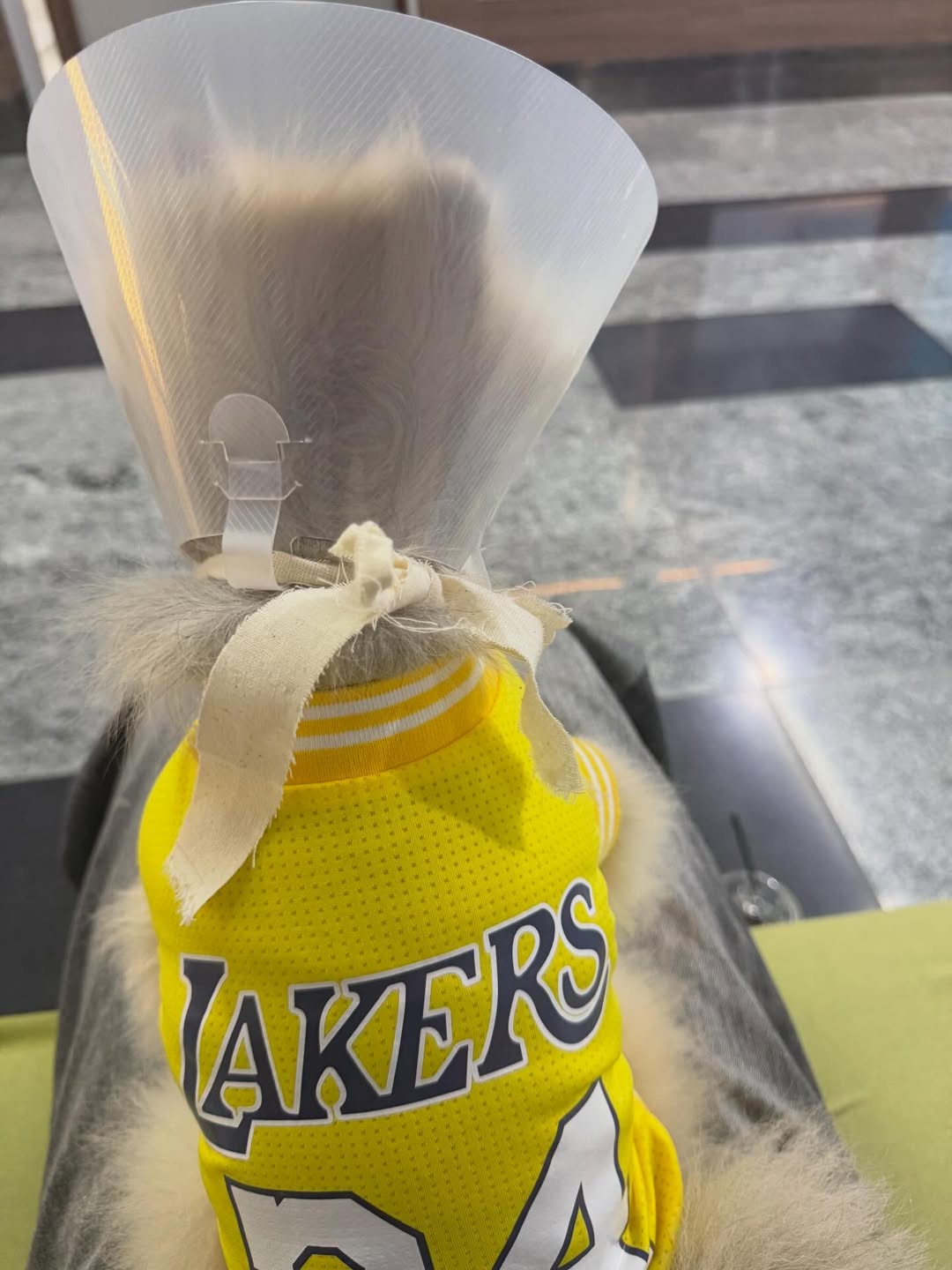 นิกกี้ - ณฉัตร จันทพันธ์