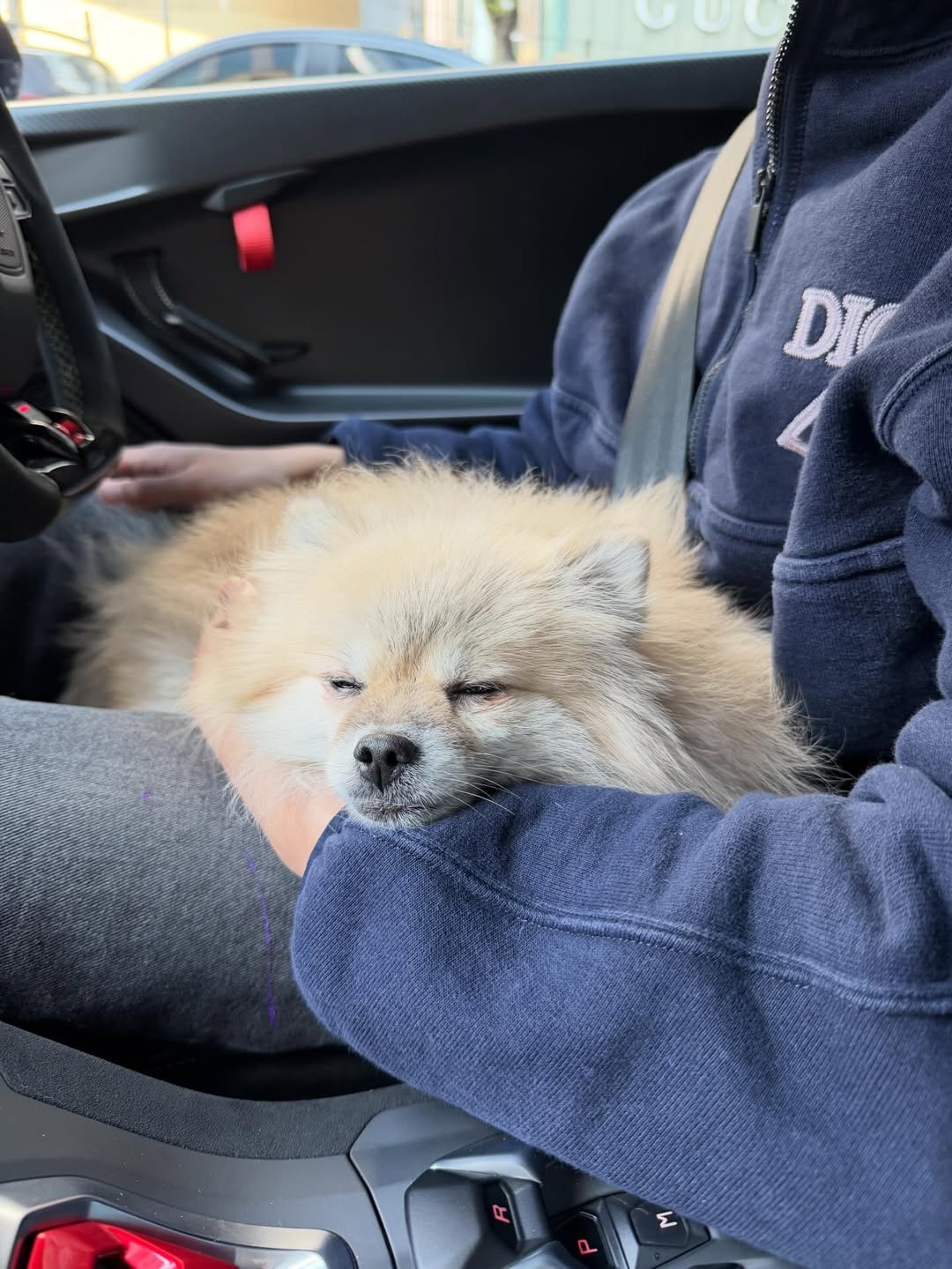 นิกกี้ - ณฉัตร จันทพันธ์