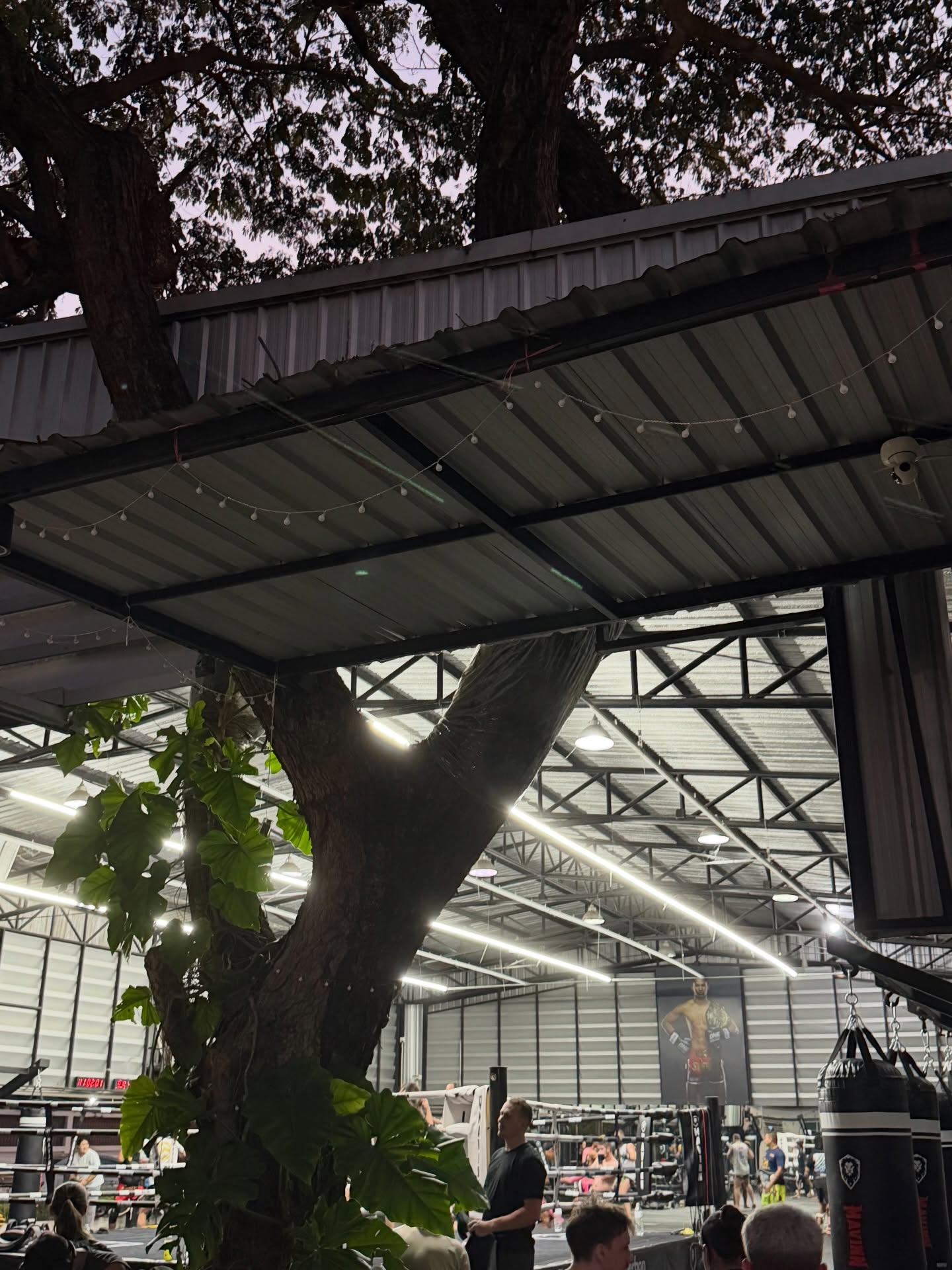 จาว่า - พบธรรม หรรษา