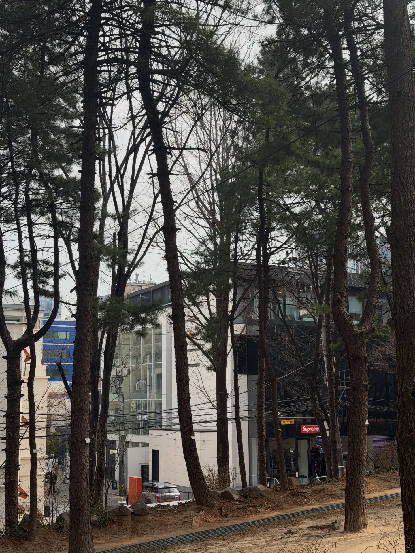 จาว่า - พบธรรม หรรษา