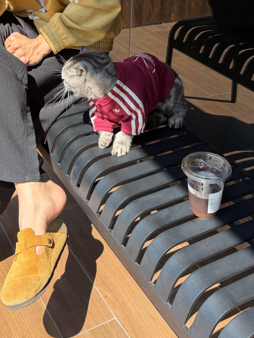 แบงค์ - อาทิตย์ ตั้งวิบูลย์พาณิชย์