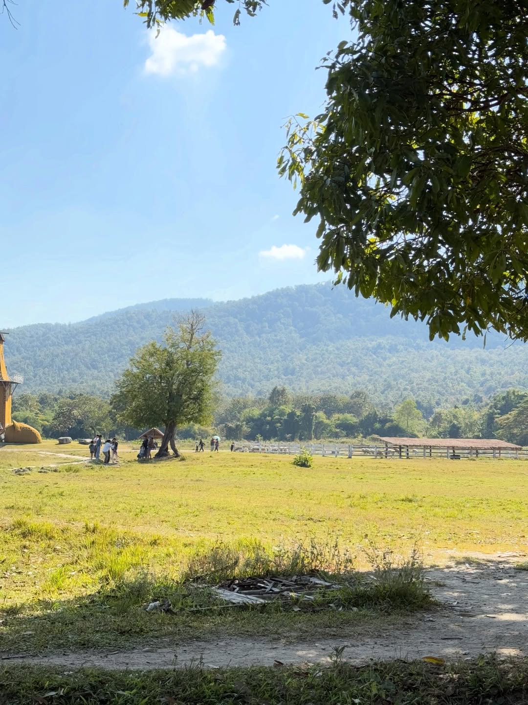 ปิง - กฤตนัน อัญชนานันท์