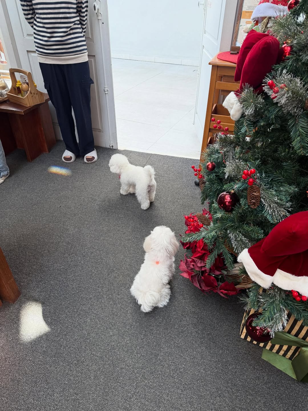 ปิง - กฤตนัน อัญชนานันท์