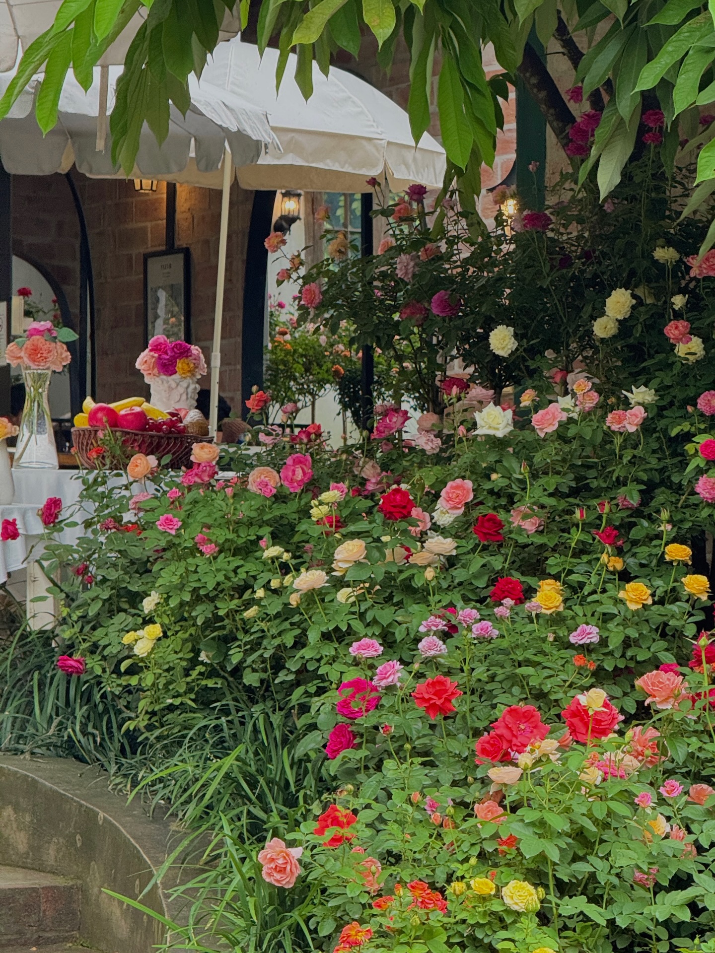 เอส - ศุภ สง่าวรวงศ์