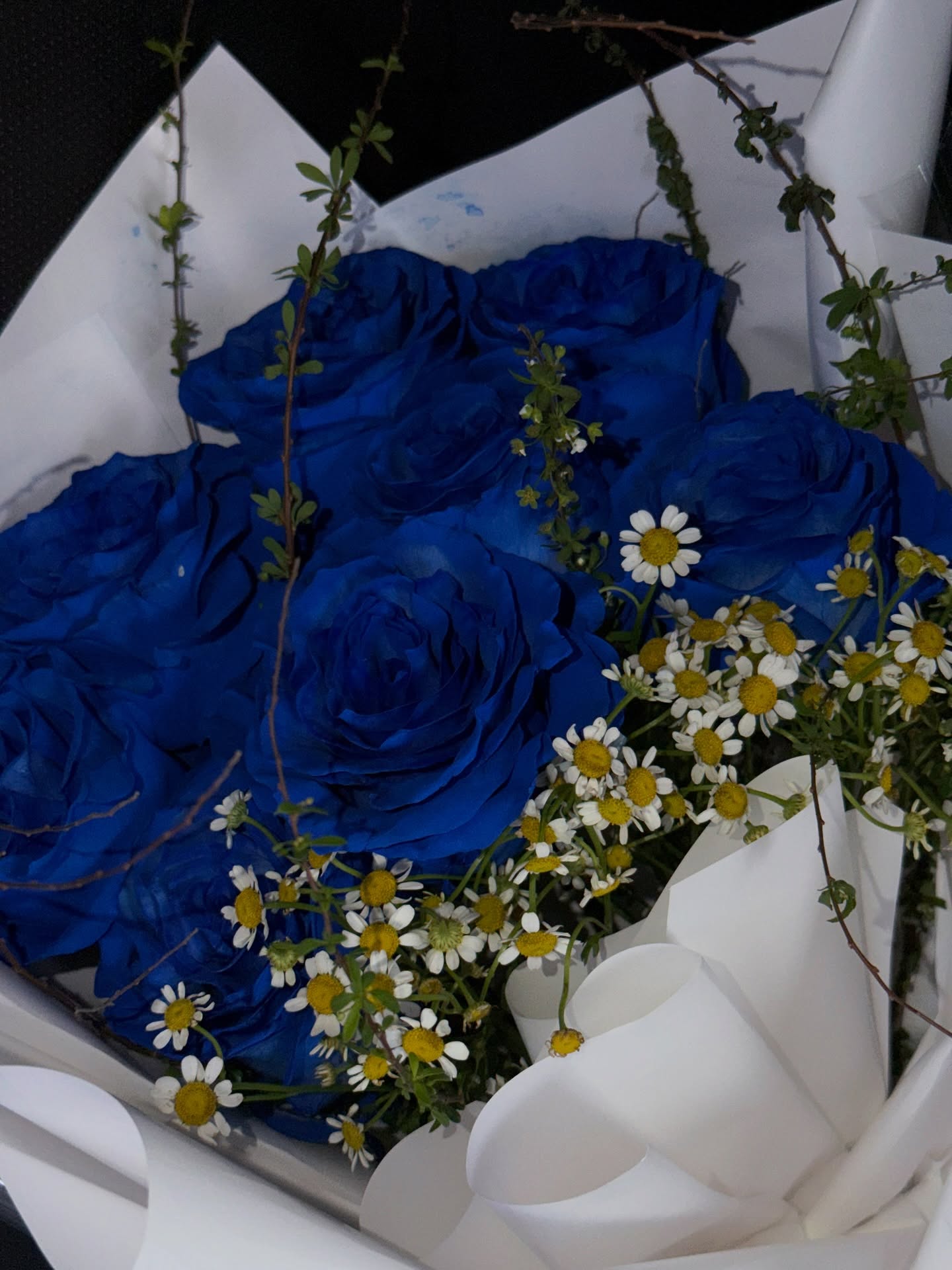 เอส - ศุภ สง่าวรวงศ์