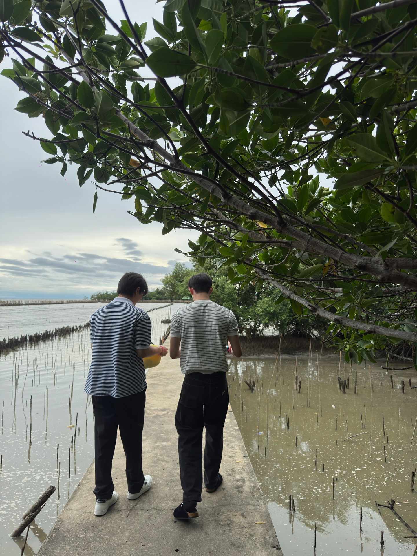 เอส - ศุภ สง่าวรวงศ์