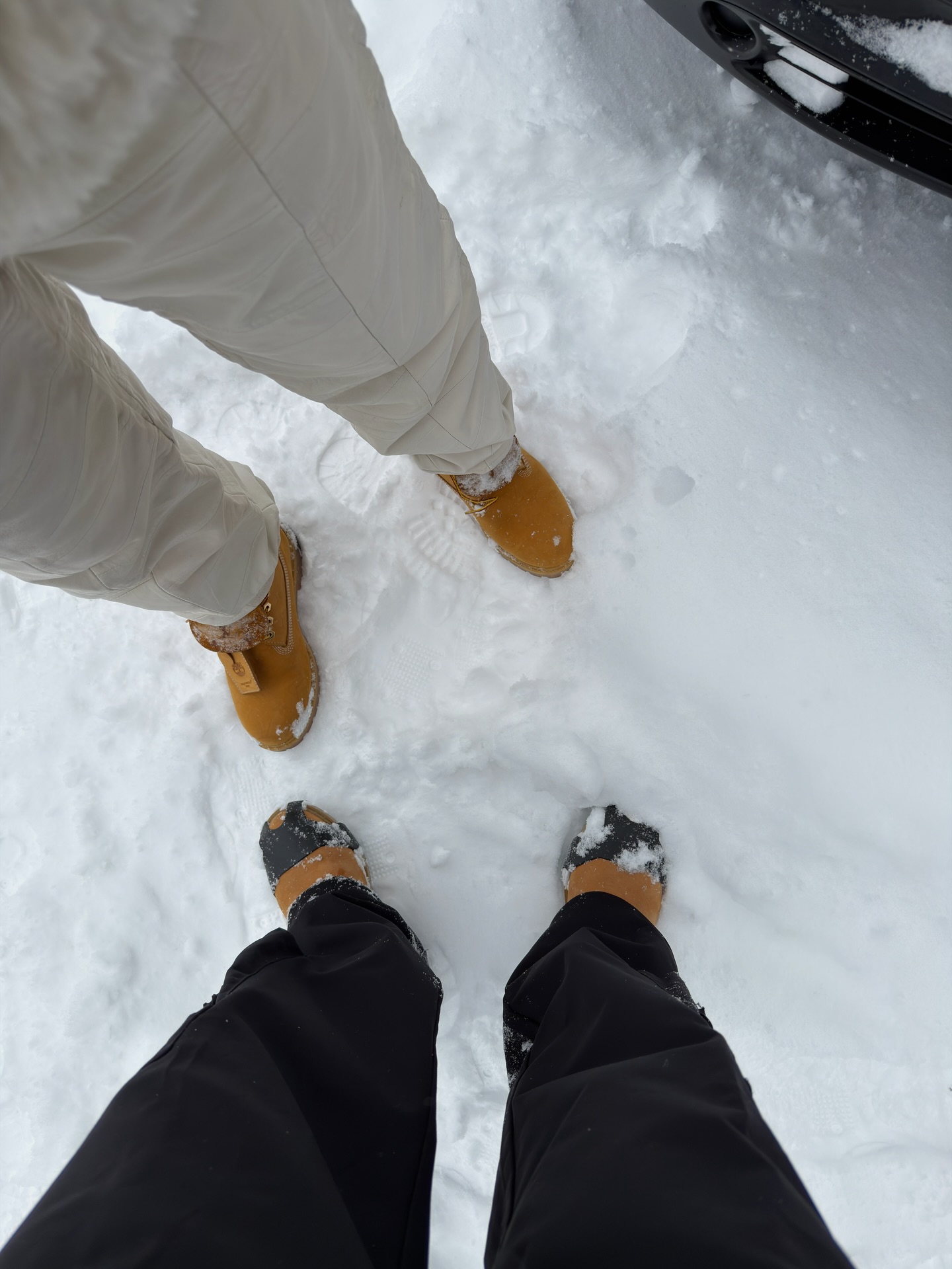 เอส - ศุภ สง่าวรวงศ์